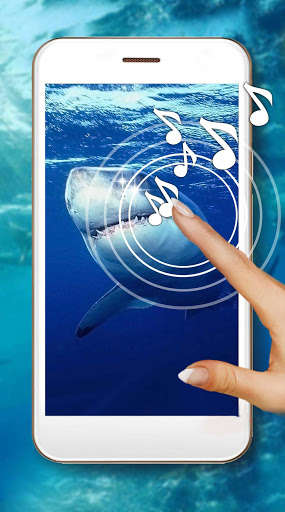 Run android online APK Shark Terrible Live Wallpaper from MyAndroid or emulate Shark Terrible Live Wallpaper using MyAndroid Run android online APK Shark Terrible Live Wallpaper from MyAndroid or emulate Shark Terrible Live Wallpaper using MyAndroid
