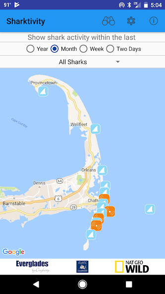 Run android online APK Sharktivity - White Shark App from MyAndroid or emulate Sharktivity - White Shark App using MyAndroid