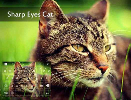 Emulate Android APK Sharp Eyes Cat Emoji Keyboard