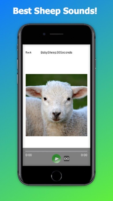 Emulate iPhone app Sheep Sounds + Sheep Noises using MyAndroid