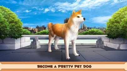 Emulate iPhone app Shiba Inu Japanese Dog Simulator 3D using MyAndroid