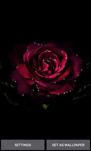 Run android online APK Shining Rose Blooming LWP from MyAndroid or emulate Shining Rose Blooming LWP using MyAndroid