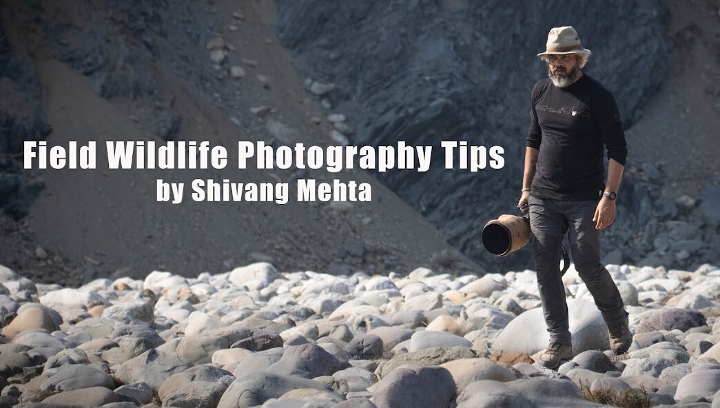 Run android online APK Shivang Mehta Photography from MyAndroid or emulate Shivang Mehta Photography using MyAndroid Run android online APK Shivang Mehta Photography from MyAndroid or emulate Shivang Mehta Photography using MyAndroid