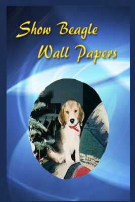 Emulate Android APK Show Beagles Wall Papers 2013 Emulate Android APK Show Beagles Wall Papers 2013