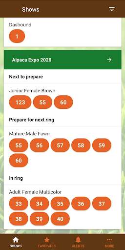 Run android online APK Showring helper from MyAndroid or emulate Showring helper using MyAndroid