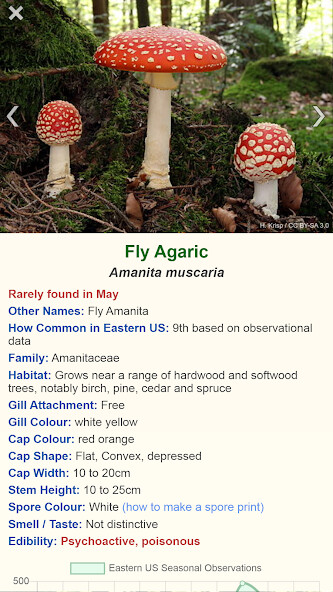 Run android online APK Shroomify - USA Mushroom Identification from MyAndroid or emulate Shroomify - USA Mushroom Identification using MyAndroid