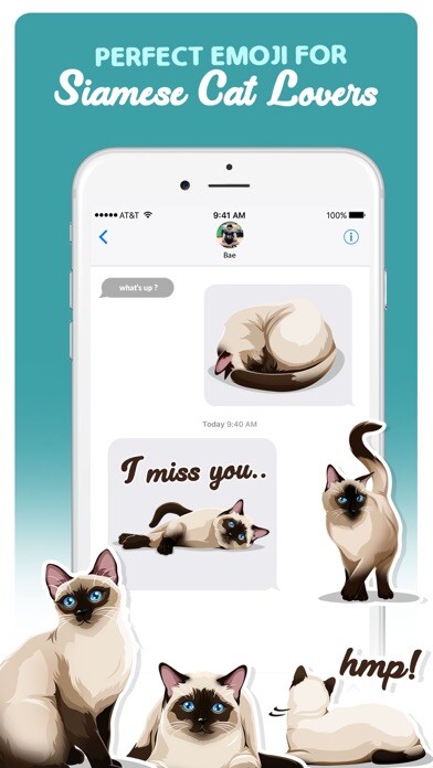 Emulate iPhone app Siamese Cats Emoji Sticker using MyAndroid