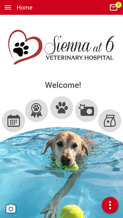 Emulate iPhone app Sienna 6 Vet using MyAndroid