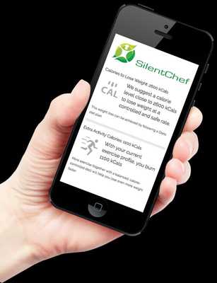 Emulate Android APK SilentChef Emulate Android APK SilentChef