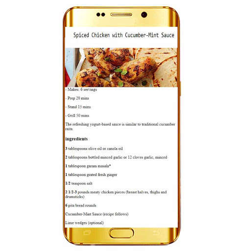 Run android online APK Simple Grilling Recipes from MyAndroid or emulate Simple Grilling Recipes using MyAndroid