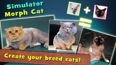 Emulate iPhone app Simulator Morph Cat using MyAndroid Emulate iPhone app Simulator Morph Cat using MyAndroid