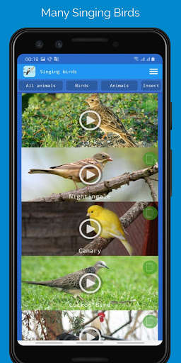 Run android online APK Singing Birds from MyAndroid or emulate Singing Birds using MyAndroid
