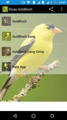 Emulate Android APK Singing Goldfinch