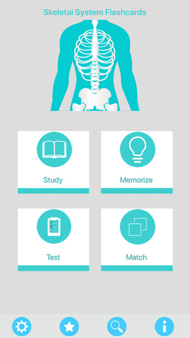 Emulate iPhone app Skeletal System Flashcards using MyAndroid Emulate iPhone app Skeletal System Flashcards using MyAndroid