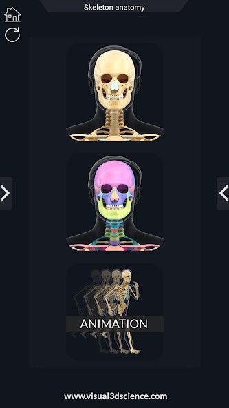 Emulate Android APK Skeleton Anatomy Pro. Emulate Android APK Skeleton Anatomy Pro.
