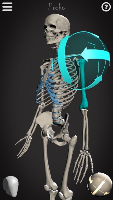 Emulate iPhone app Skelly - Art Model using MyAndroid Emulate iPhone app Skelly - Art Model using MyAndroid
