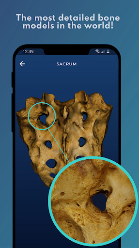 Run android online APK Skelviewer - Anatomy, Osteology, Bone Models from MyAndroid or emulate Skelviewer - Anatomy, Osteology, Bone Models using MyAndroid Run android online APK Skelviewer - Anatomy, Osteology, Bone Models from MyAndroid or emulate Skelviewer - Anatomy, Osteology, Bone Models using MyAndroid