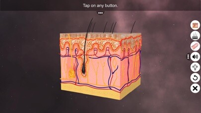 Emulate iPhone app Skin: Integumentary System using MyAndroid