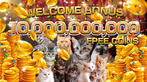 Run android online APK Slots - Cats Lovers from MyAndroid or emulate Slots - Cats Lovers using MyAndroid Run android online APK Slots - Cats Lovers from MyAndroid or emulate Slots - Cats Lovers using MyAndroid