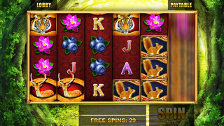 Emulate iPhone app Slots: Realm of Magic using MyAndroid Emulate iPhone app Slots: Realm of Magic using MyAndroid
