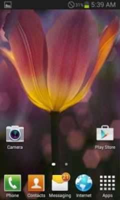 Emulate Android APK Small Flower Live Wallpaper Emulate Android APK Small Flower Live Wallpaper