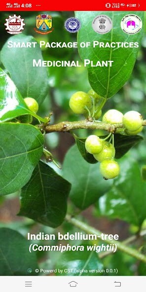 Run android online APK SMART Medicinal Plants - Commiphora wightii from MyAndroid or emulate SMART Medicinal Plants - Commiphora wightii using MyAndroid Run android online APK SMART Medicinal Plants - Commiphora wightii from MyAndroid or emulate SMART Medicinal Plants - Commiphora wightii using MyAndroid