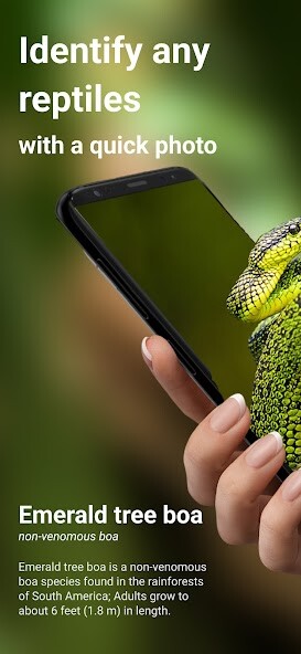 Run android online APK Snake Identifier: Reptiles ID from MyAndroid or emulate Snake Identifier: Reptiles ID using MyAndroid