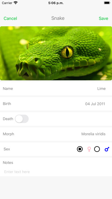 Emulate iPhone app SnakeLog using MyAndroid