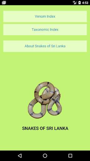 Run android online APK Snake of Sri Lanka from MyAndroid or emulate Snake of Sri Lanka using MyAndroid Run android online APK Snake of Sri Lanka from MyAndroid or emulate Snake of Sri Lanka using MyAndroid