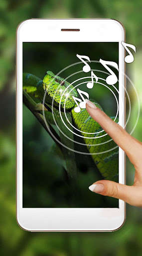 Run android online APK Snakes HD Live Wallpaper from MyAndroid or emulate Snakes HD Live Wallpaper using MyAndroid