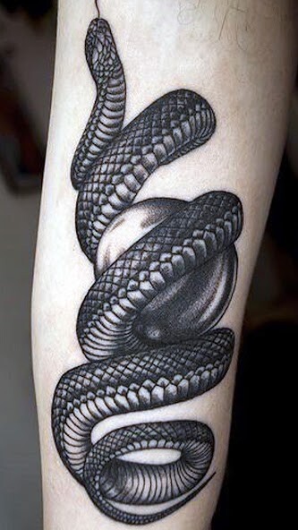 Emulate Android APK Snake Tattoo Designs Emulate Android APK Snake Tattoo Designs