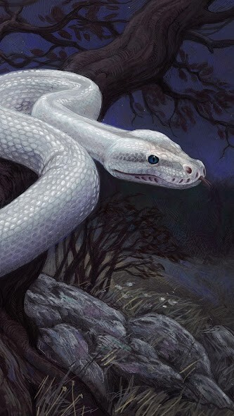 Emulate Android APK Snake Wallpaper HD Emulate Android APK Snake Wallpaper HD