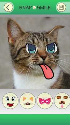 Emulate Android APK Snap Face Swap Doggy Snapchat