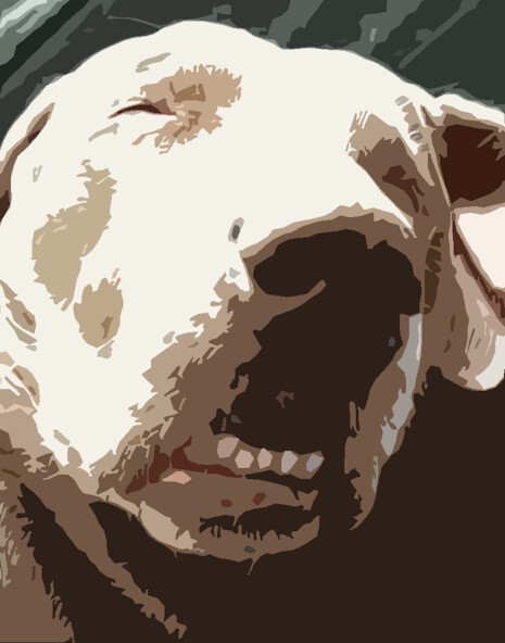 Run android online APK Snoring dog sounds ~ Sboard.pro from MyAndroid or emulate Snoring dog sounds ~ Sboard.pro using MyAndroid Run android online APK Snoring dog sounds ~ Sboard.pro from MyAndroid or emulate Snoring dog sounds ~ Sboard.pro using MyAndroid