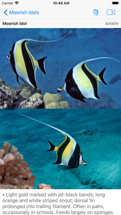 Emulate iPhone app Snorkel Fish Hawaii for iPhone using MyAndroid Emulate iPhone app Snorkel Fish Hawaii for iPhone using MyAndroid