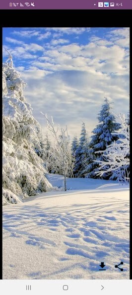 Run android online APK snow image _snow wallpaper from MyAndroid or emulate snow image _snow wallpaper using MyAndroid Run android online APK snow image _snow wallpaper from MyAndroid or emulate snow image _snow wallpaper using MyAndroid