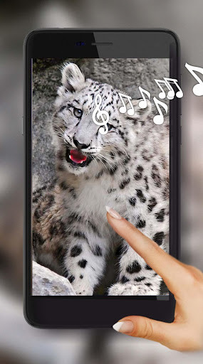 Emulate Android APK Snow Leopard Bars Emulate Android APK Snow Leopard Bars