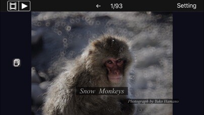 Emulate iPhone app Snow Monkeys using MyAndroid Emulate iPhone app Snow Monkeys using MyAndroid