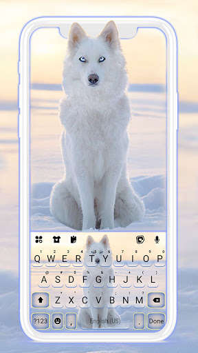 Run android online APK Snowy Wolf Keyboard Background from MyAndroid or emulate Snowy Wolf Keyboard Background using MyAndroid Run android online APK Snowy Wolf Keyboard Background from MyAndroid or emulate Snowy Wolf Keyboard Background using MyAndroid