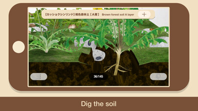 Emulate iPhone app 