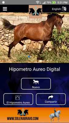 Emulate Android APK SoleraBravo