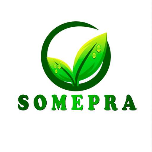 Run android online APK SOMEPRA.com.tn from MyAndroid or emulate SOMEPRA.com.tn using MyAndroid