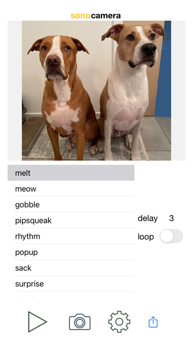 Emulate iPhone app sonocamera using MyAndroid