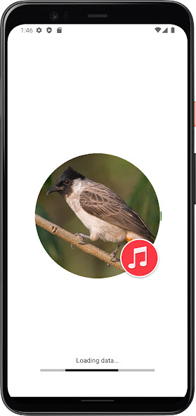 Run android online APK Sooty-headed bulbul Sounds from MyAndroid or emulate Sooty-headed bulbul Sounds using MyAndroid Run android online APK Sooty-headed bulbul Sounds from MyAndroid or emulate Sooty-headed bulbul Sounds using MyAndroid