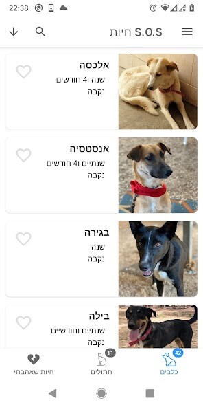 Run android online APK S.O.S Pets from MyAndroid or emulate S.O.S Pets using MyAndroid Run android online APK S.O.S Pets from MyAndroid or emulate S.O.S Pets using MyAndroid