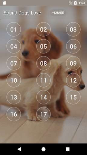 Run android online APK Sound Dogs Love from MyAndroid or emulate Sound Dogs Love using MyAndroid Run android online APK Sound Dogs Love from MyAndroid or emulate Sound Dogs Love using MyAndroid
