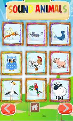 Emulate Android APK Sounds Animal - Edukasi Mengenal Suara Hewan