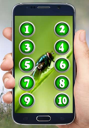 Run android online APK Sounds Of A Fly Buzzing Flies from MyAndroid or emulate Sounds Of A Fly Buzzing Flies using MyAndroid