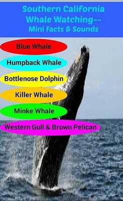 Emulate Android APK Southern CA Whale Watching App Emulate Android APK Southern CA Whale Watching App