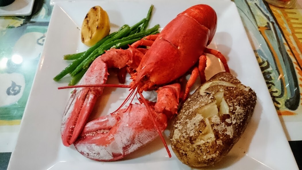 Run android online APK South Florida Dining from MyAndroid or emulate South Florida Dining using MyAndroid Run android online APK South Florida Dining from MyAndroid or emulate South Florida Dining using MyAndroid